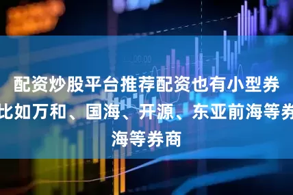 配资炒股平台推荐配资也有小型券商比如万和、国海、开源、东亚前海等券商