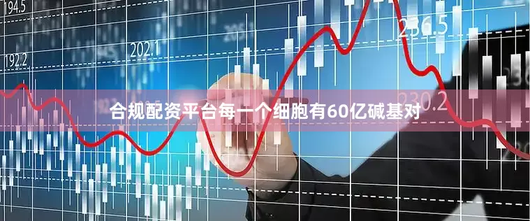 合规配资平台每一个细胞有60亿碱基对
