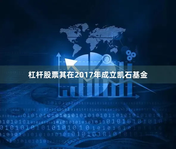 杠杆股票其在2017年成立凯石基金