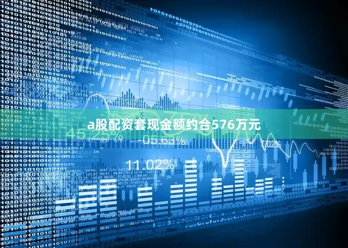 a股配资套现金额约合576万元