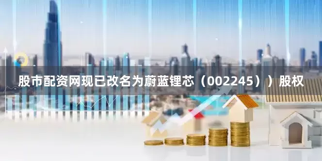 股市配资网现已改名为蔚蓝锂芯（002245））股权