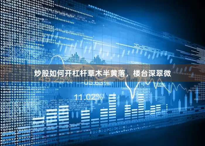 炒股如何开杠杆草木半黄落，楼台深翠微