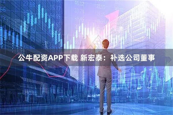 公牛配资APP下载 新宏泰：补选公司董事