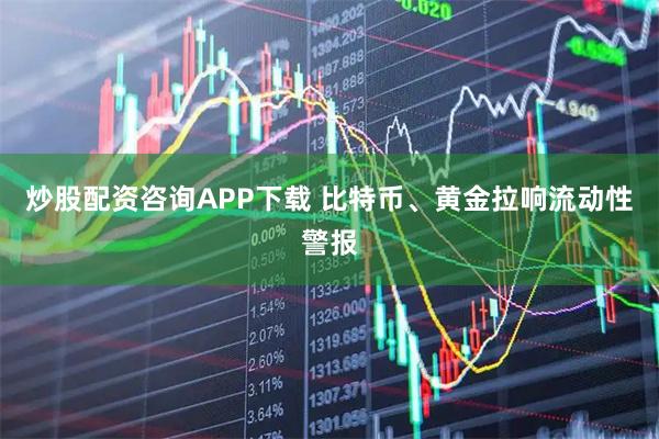 炒股配资咨询APP下载 比特币、黄金拉响流动性警报